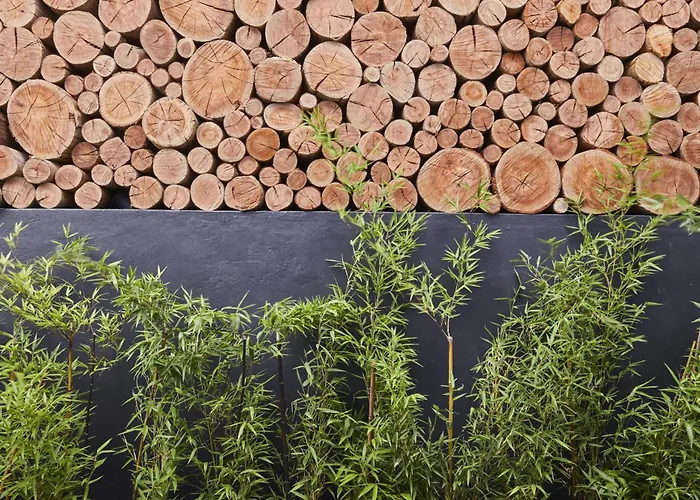  Pineapple House Boutique
